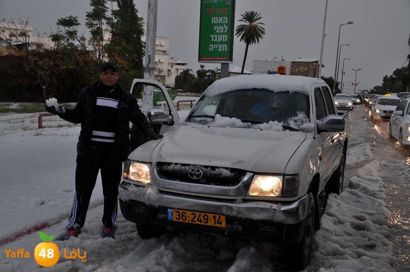 iceman lud 1213 (61).JPG